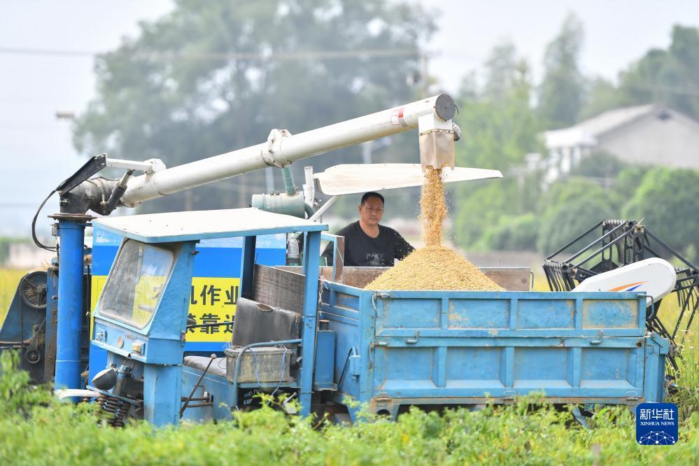 pk游戏网